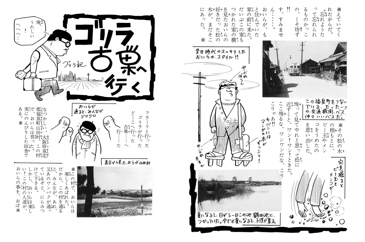 ゴリラ古巣に行く
